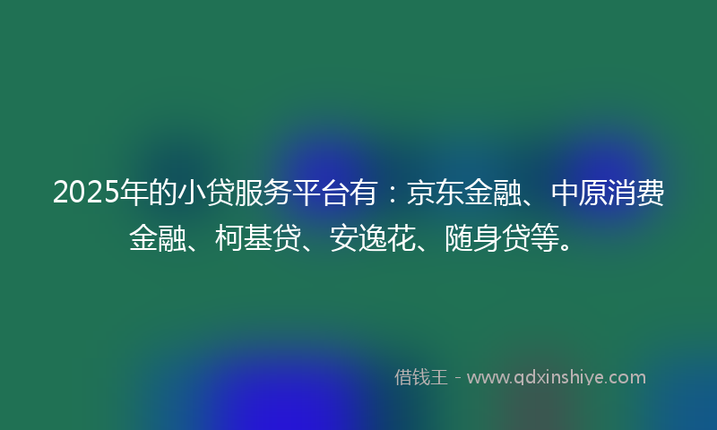 2025年的小贷服务平台有：京东金融、中原消费金融、柯基贷、安逸花、随身贷等。