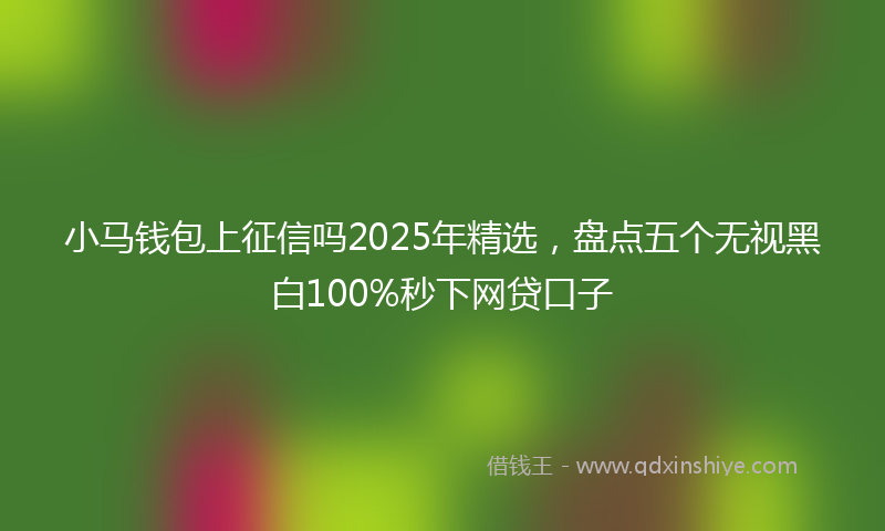 小马钱包上征信吗2025年精选，盘点五个无视黑白100%秒下网贷口子