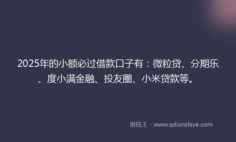 2025年的小额必过借款口子有：微粒贷、分期乐、度小满金融、投友圈、小米贷款等。