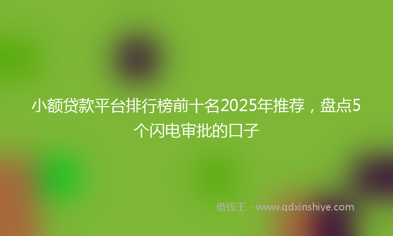 小额贷款平台排行榜前十名2025年推荐，盘点5个闪电审批的口子
