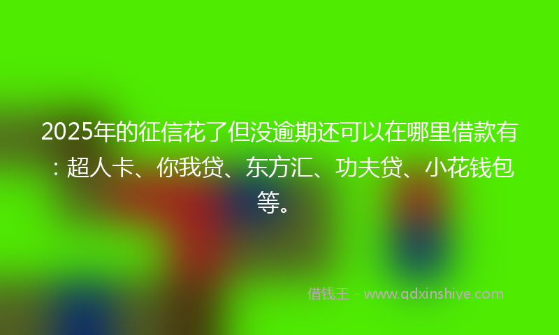 2025年的征信花了但没逾期还可以在哪里借款有：超人卡、你我贷、东方汇、功夫贷、小花钱包等。