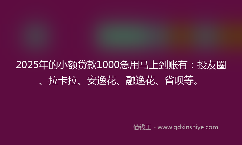 2025年的小额贷款1000急用马上到账有：投友圈、拉卡拉、安逸花、融逸花、省呗等。
