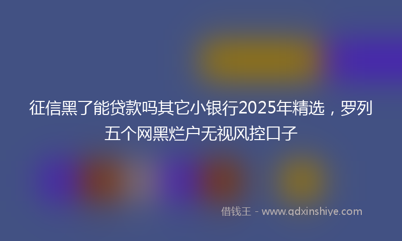 征信黑了能贷款吗其它小银行2025年精选，罗列五个网黑烂户无视风控口子