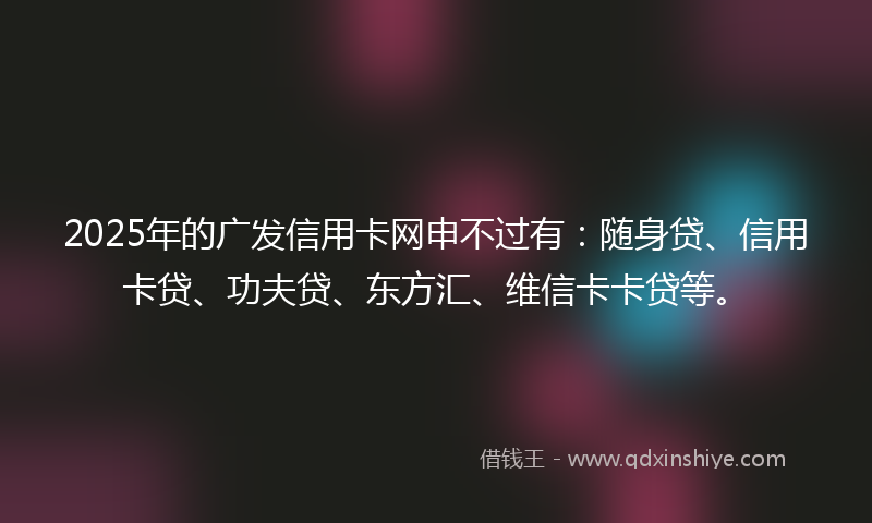 2025年的广发信用卡网申不过有：随身贷、信用卡贷、功夫贷、东方汇、维信卡卡贷等。