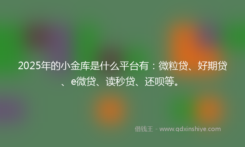 2025年的小金库是什么平台有：微粒贷、好期贷、e微贷、读秒贷、还呗等。