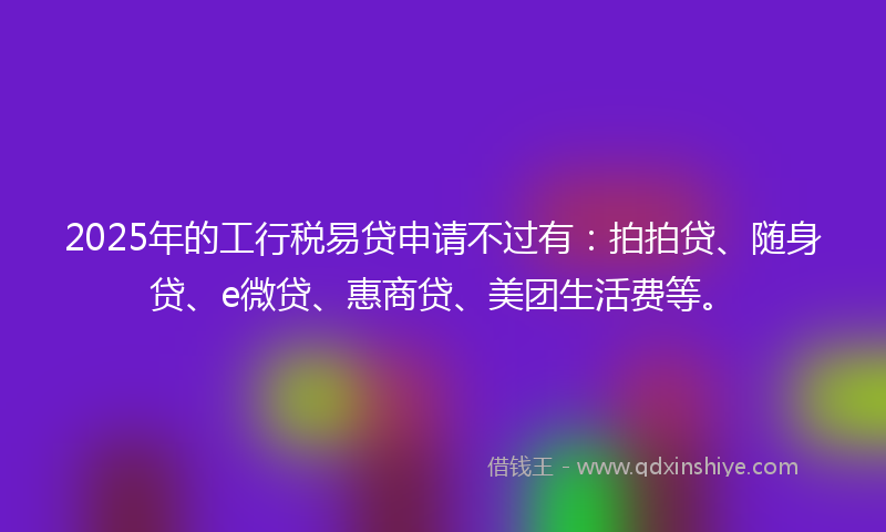 2025年的工行税易贷申请不过有：拍拍贷、随身贷、e微贷、惠商贷、美团生活费等。