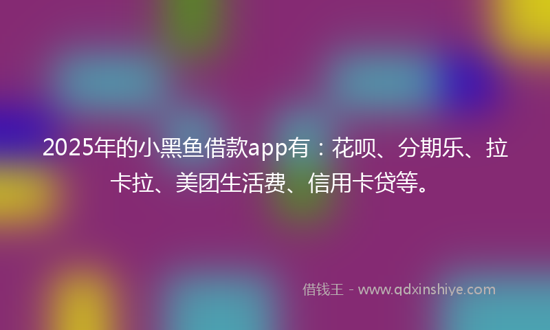 2025年的小黑鱼借款app有：花呗、分期乐、拉卡拉、美团生活费、信用卡贷等。