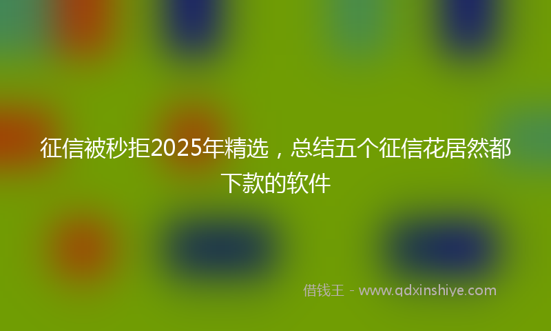 征信被秒拒2025年精选，总结五个征信花居然都下款的软件