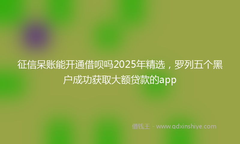 征信呆账能开通借呗吗2025年精选，罗列五个黑户成功获取大额贷款的app