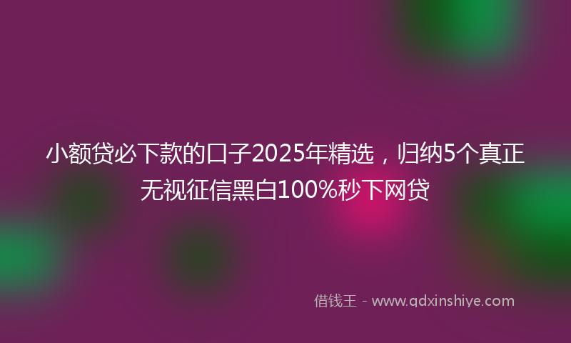 小额贷必下款的口子2025年精选，归纳5个真正无视征信黑白100%秒下网贷