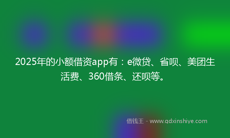 2025年的小额借资app有：e微贷、省呗、美团生活费、360借条、还呗等。