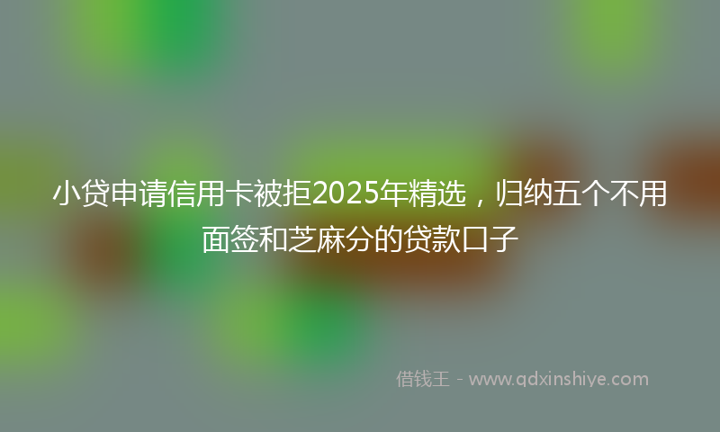 小贷申请信用卡被拒2025年精选，归纳五个不用面签和芝麻分的贷款口子