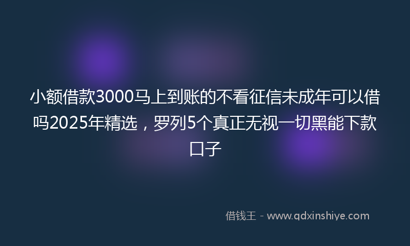 小额借款3000马上到账的不看征信未成年可以借吗2025年精选，罗列5个真正无视一切黑能下款口子