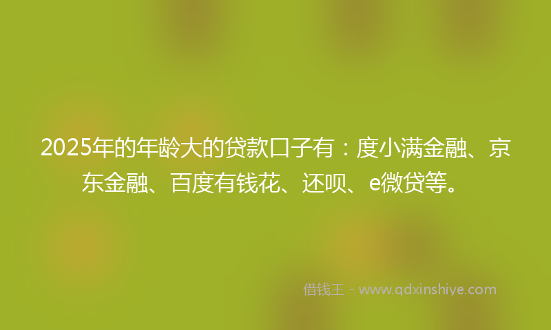2025年的年龄大的贷款口子有：度小满金融、京东金融、百度有钱花、还呗、e微贷等。