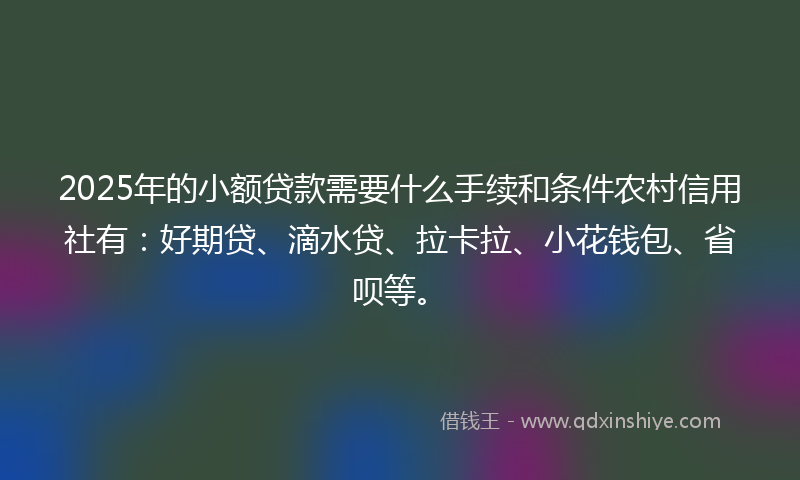 2025年的小额贷款需要什么手续和条件农村信用社有：好期贷、滴水贷、拉卡拉、小花钱包、省呗等。