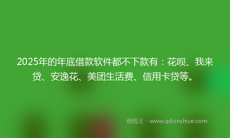 2025年的年底借款软件都不下款有：花呗、我来贷、安逸花、美团生活费、信用卡贷等。