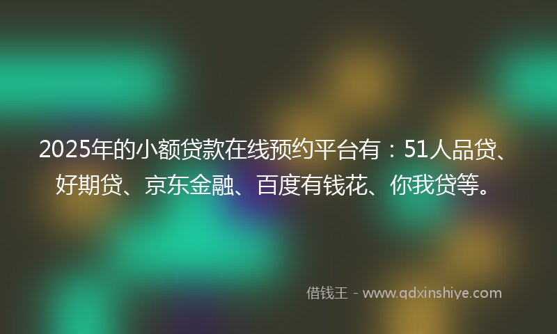 2025年的小额贷款在线预约平台有：51人品贷、好期贷、京东金融、百度有钱花、你我贷等。