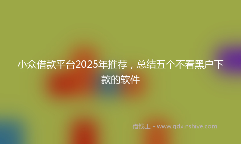 小众借款平台2025年推荐，总结五个不看黑户下款的软件