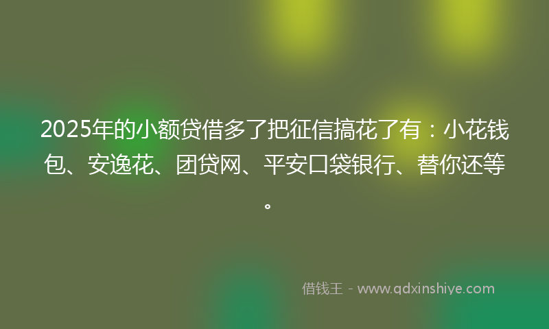 2025年的小额贷借多了把征信搞花了有：小花钱包、安逸花、团贷网、平安口袋银行、替你还等。