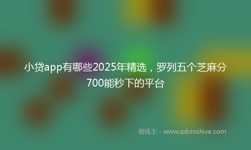 小贷app有哪些2025年精选，罗列五个芝麻分700能秒下的平台