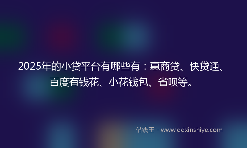 2025年的小贷平台有哪些有：惠商贷、快贷通、百度有钱花、小花钱包、省呗等。