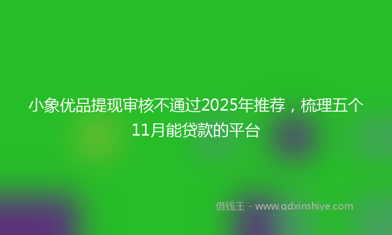 小象优品提现审核不通过2025年推荐，梳理五个11月能贷款的平台