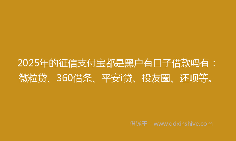2025年的征信支付宝都是黑户有口子借款吗有：微粒贷、360借条、平安i贷、投友圈、还呗等。