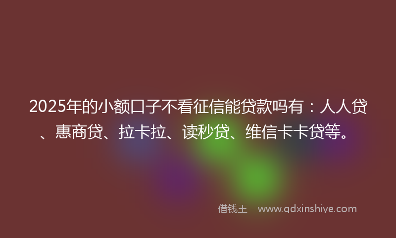 2025年的小额口子不看征信能贷款吗有：人人贷、惠商贷、拉卡拉、读秒贷、维信卡卡贷等。