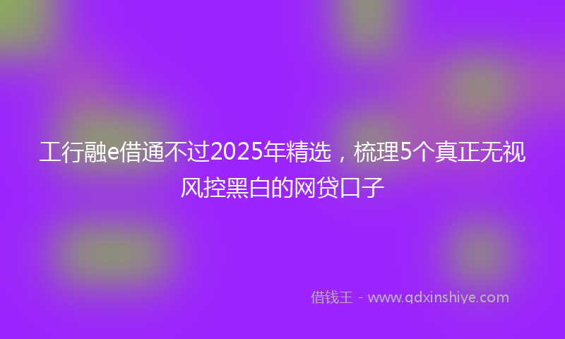 工行融e借通不过2025年精选，梳理5个真正无视风控黑白的网贷口子