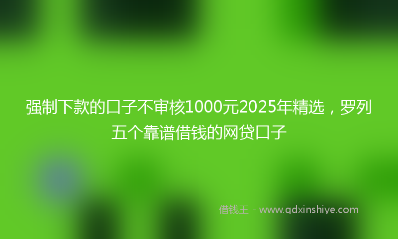 强制下款的口子不审核1000元2025年精选，罗列五个靠谱借钱的网贷口子
