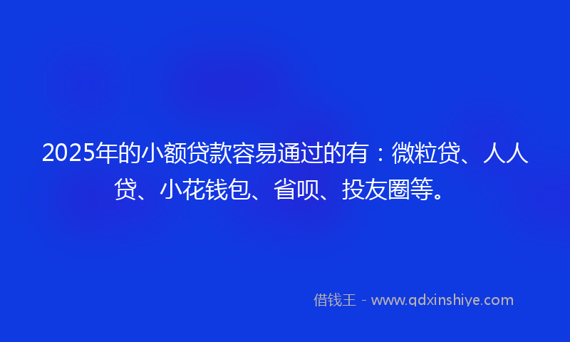 2025年的小额贷款容易通过的有：微粒贷、人人贷、小花钱包、省呗、投友圈等。