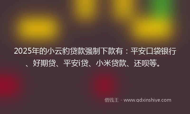 2025年的小云豹贷款强制下款有：平安口袋银行、好期贷、平安i贷、小米贷款、还呗等。