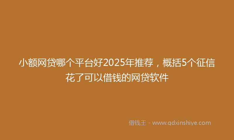 小额网贷哪个平台好2025年推荐，概括5个征信花了可以借钱的网贷软件
