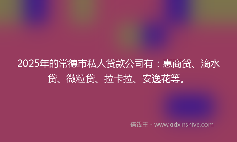 2025年的常德市私人贷款公司有：惠商贷、滴水贷、微粒贷、拉卡拉、安逸花等。
