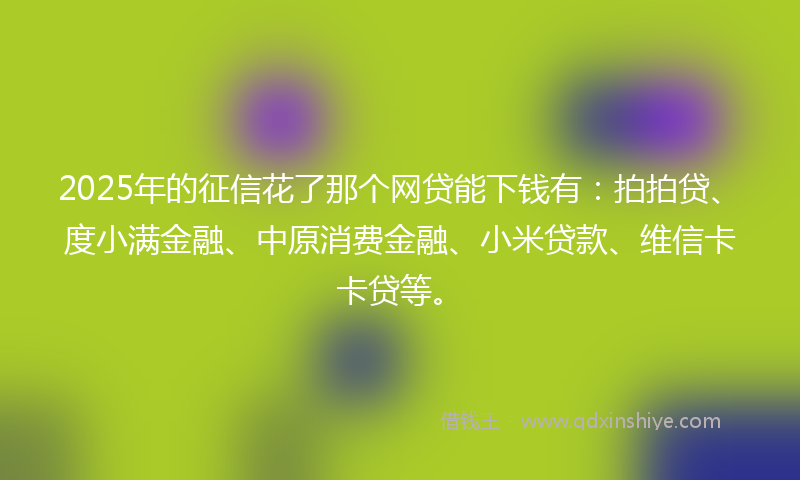 2025年的征信花了那个网贷能下钱有：拍拍贷、度小满金融、中原消费金融、小米贷款、维信卡卡贷等。