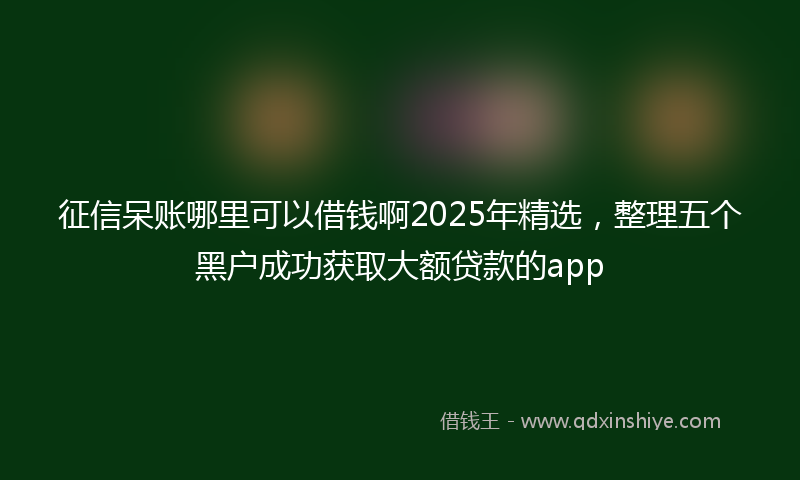 征信呆账哪里可以借钱啊2025年精选，整理五个黑户成功获取大额贷款的app