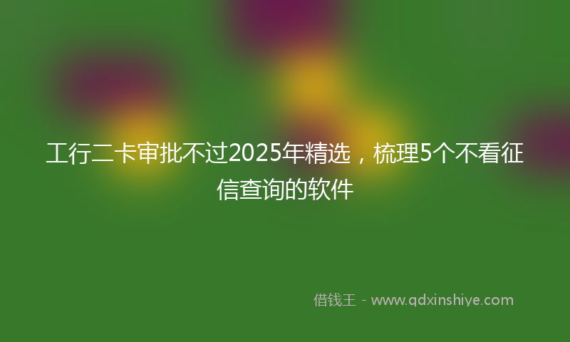工行二卡审批不过2025年精选，梳理5个不看征信查询的软件