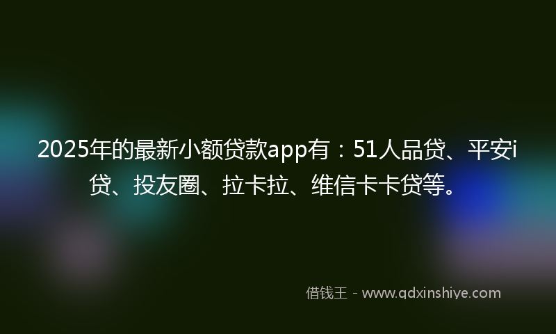 2025年的最新小额贷款app有：51人品贷、平安i贷、投友圈、拉卡拉、维信卡卡贷等。