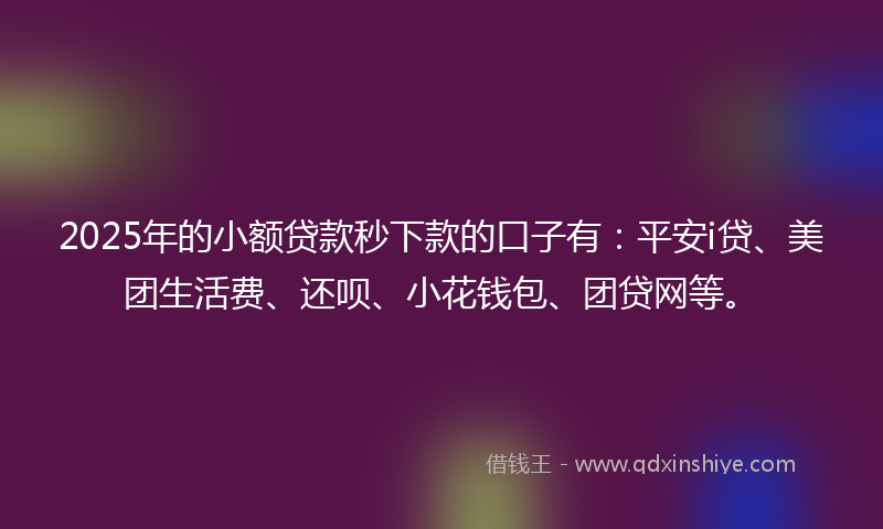 2025年的小额贷款秒下款的口子有：平安i贷、美团生活费、还呗、小花钱包、团贷网等。