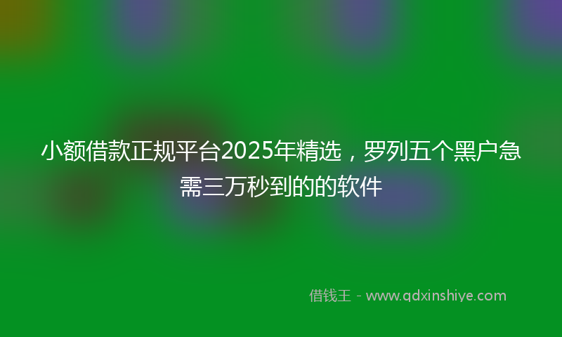 小额借款正规平台2025年精选，罗列五个黑户急需三万秒到的的软件
