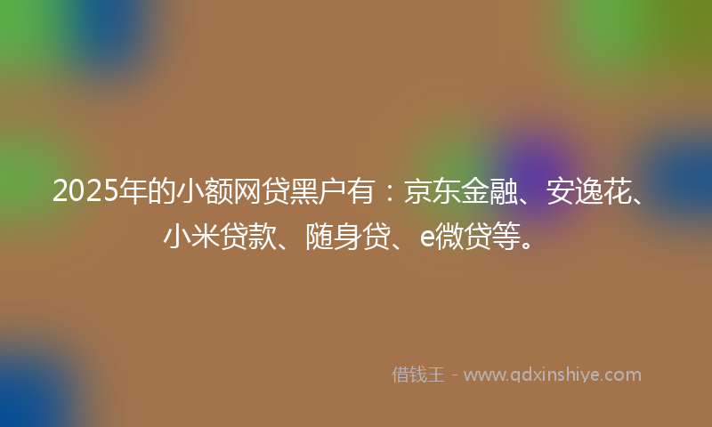 2025年的小额网贷黑户有：京东金融、安逸花、小米贷款、随身贷、e微贷等。