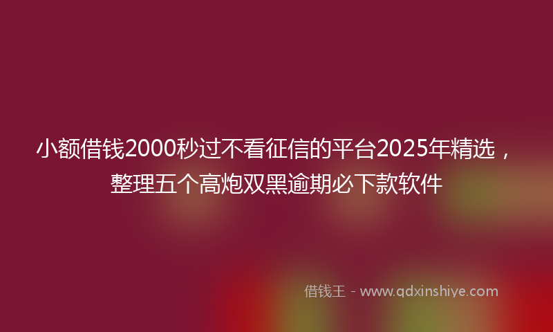 小额借钱2000秒过不看征信的平台2025年精选，整理五个高炮双黑逾期必下款软件