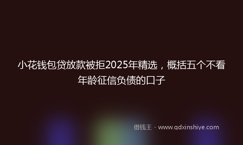 小花钱包贷放款被拒2025年精选，概括五个不看年龄征信负债的口子