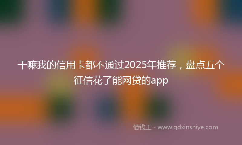 干嘛我的信用卡都不通过2025年推荐，盘点五个征信花了能网贷的app