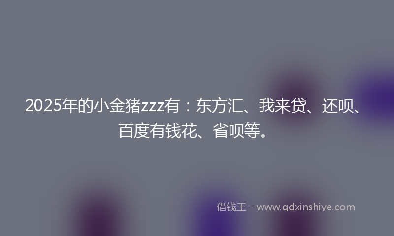 2025年的小金猪zzz有：东方汇、我来贷、还呗、百度有钱花、省呗等。