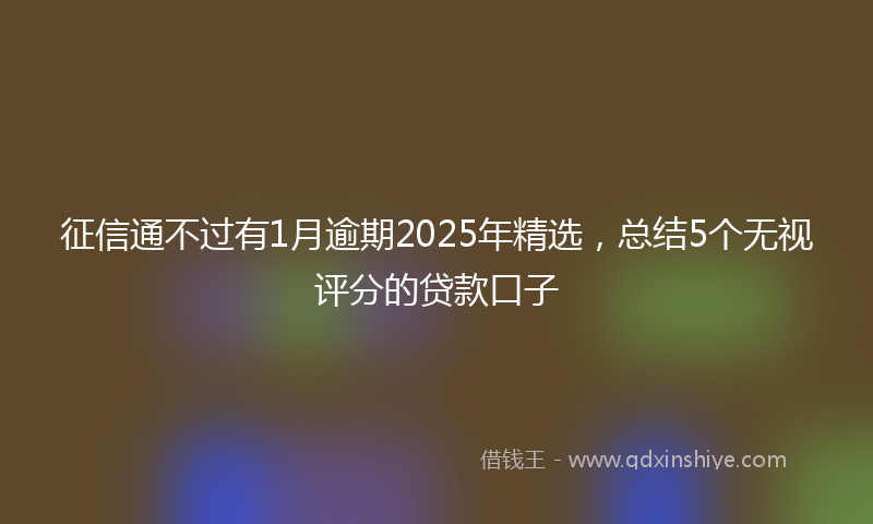 征信通不过有1月逾期2025年精选，总结5个无视评分的贷款口子