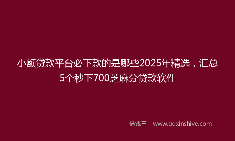 小额贷款平台必下款的是哪些2025年精选，汇总5个秒下700芝麻分贷款软件