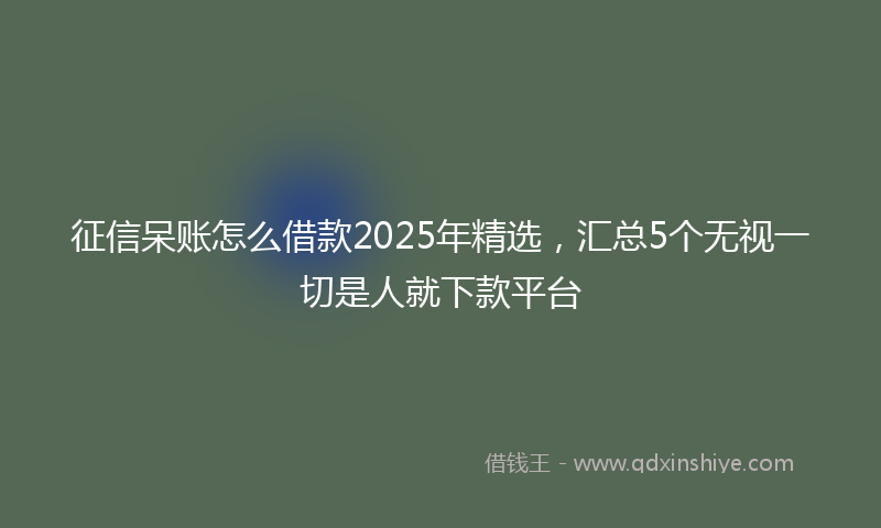 征信呆账怎么借款2025年精选，汇总5个无视一切是人就下款平台