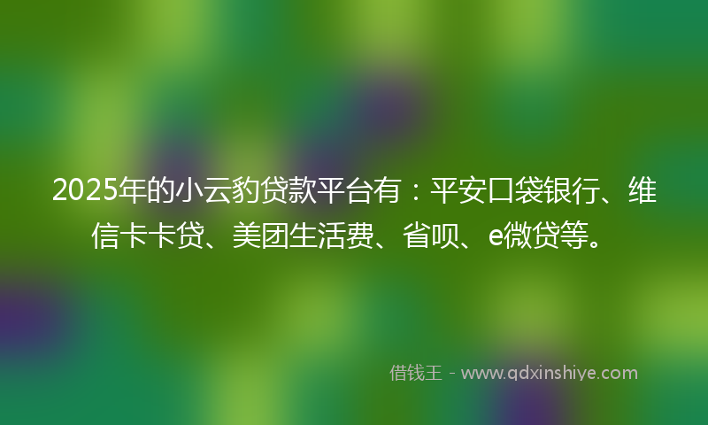 2025年的小云豹贷款平台有：平安口袋银行、维信卡卡贷、美团生活费、省呗、e微贷等。