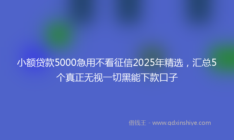 小额贷款5000急用不看征信2025年精选，汇总5个真正无视一切黑能下款口子
